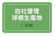 自社管理球根生産地