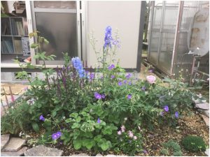 特集 バラと宿根草の花壇 配置図