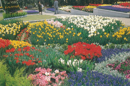 花博での出展作品　約500㎡に500品種の花を1週間ごとに植え替え、延べ15万本の花を咲かせた