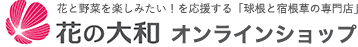 【終了しました】花の大和オンラインショップで宿根草の予約の受付を開始しました。